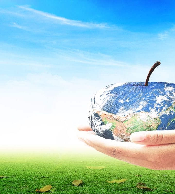 UN creates new food initiatives, names 2020 ‘Year of Plant Health’ – Natural Products INSIDER