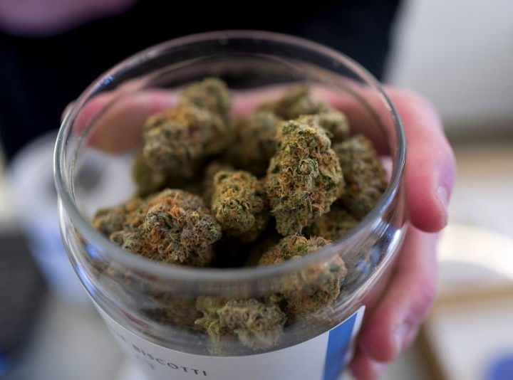 BC naturopath linked to illegal pot trade has licence cancelled – CBC News