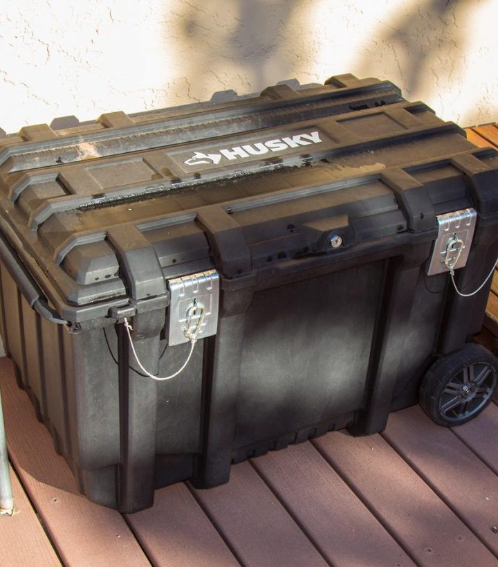 Curious Nature: How to be bear aware (column) – Vail Daily News