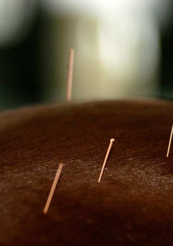 Holistic Horse Care: What Does it Mean? – TheHorse.com