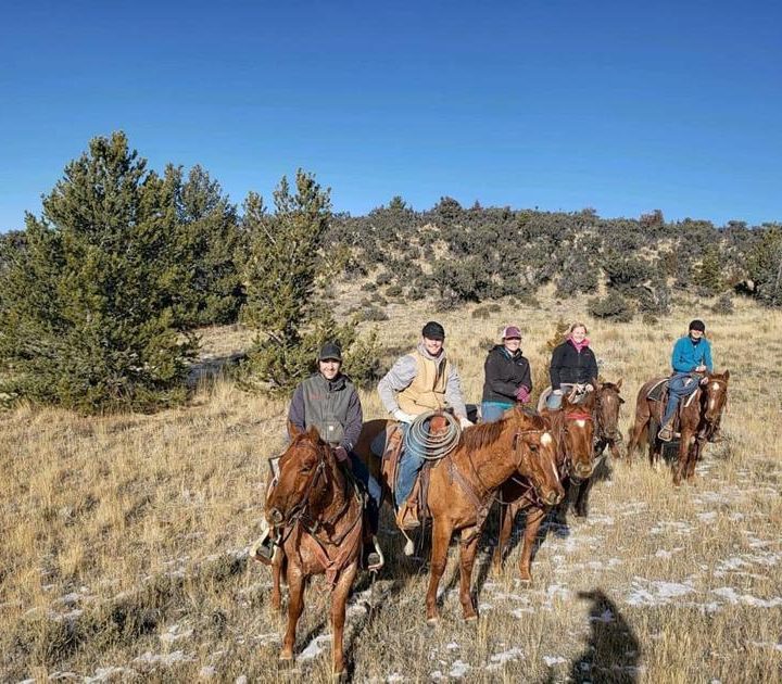 Montana Western Announces 2019 Colt Challenge and Sale | State – Fairfield Sun Times
