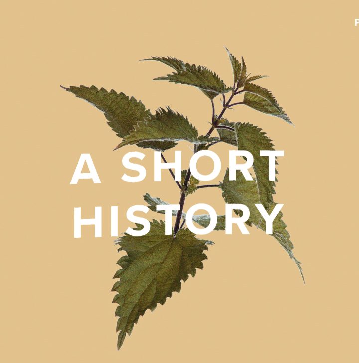 The Short History of Plants as Medicine – Healthline