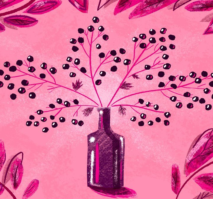 Why Elderberry Has a Cult Following as a Cold Cure – Outside