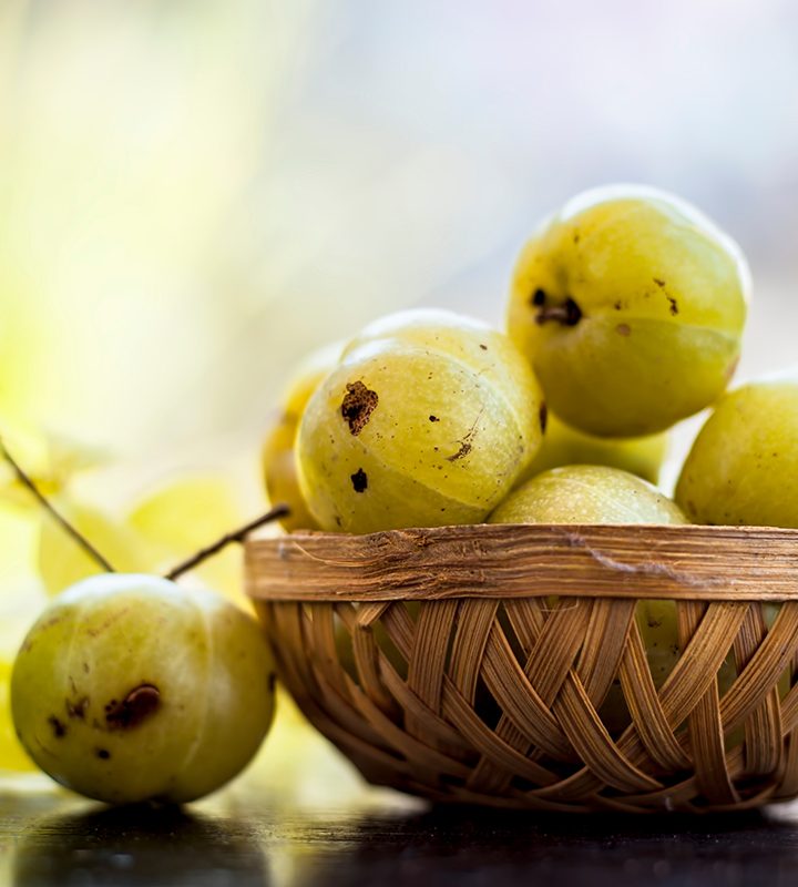 5 ingredients driving the booming digestive health category – Natural Products INSIDER