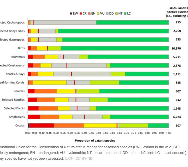 Climate change solutions 2019: a Global Deal for Nature – Vox.com