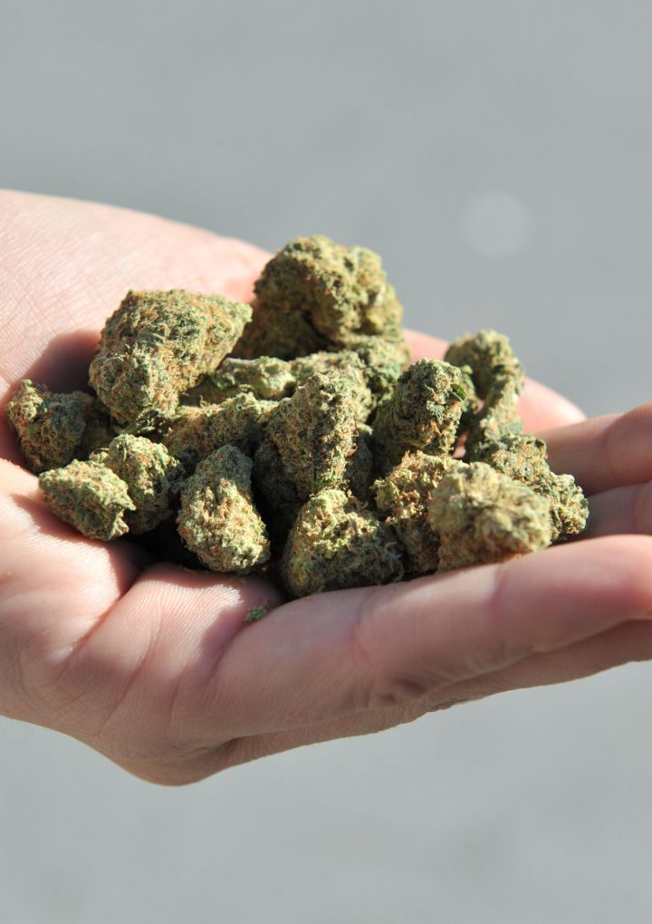 Green Heart Festival Celebrates Plant-Based Medicine Ahead Of Opening Of First Dispensary – KFSM 5Newsonline