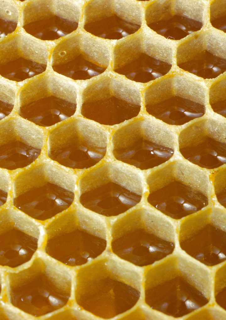 Is Honey Healthy? Here’s What Experts Say – TIME
