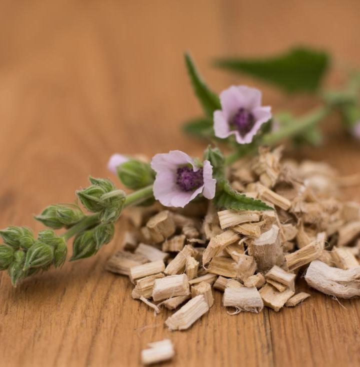 Marshmallow root: Benefits, risks, and uses – Medical News Today