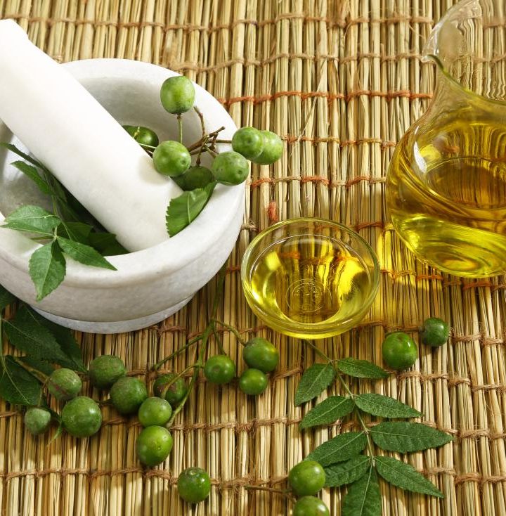 Neem: Benefits, risks, and how to use – Medical News Today