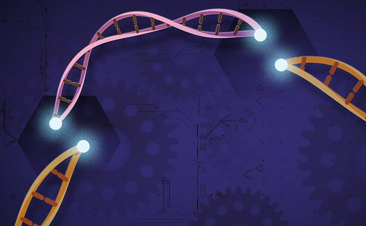 New computational tool improves gene identification – Baylor College of Medicine News