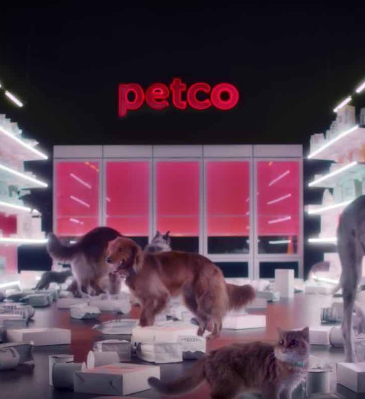 Petco Becomes First and Only Major Pet Food Company to Ditch Artificial Ingredients – Good News Network