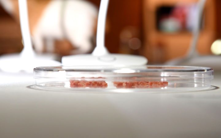 Plant-Based Meat Vs. Lab-Grown Meat – The Onion