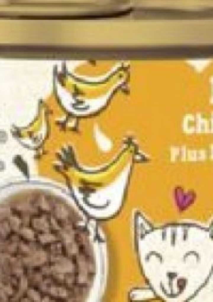 Purina recalls cat food over potential choking hazard – Fox News