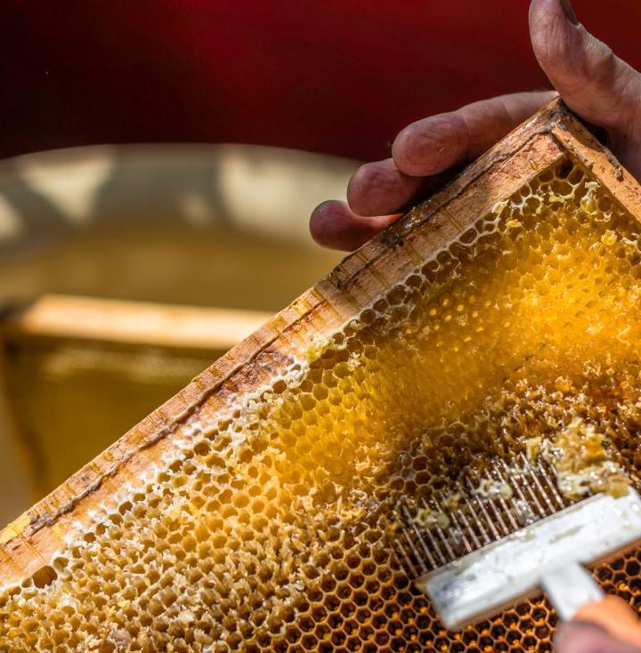 Raw honey: 7 health benefits and possible risks – Medical News Today