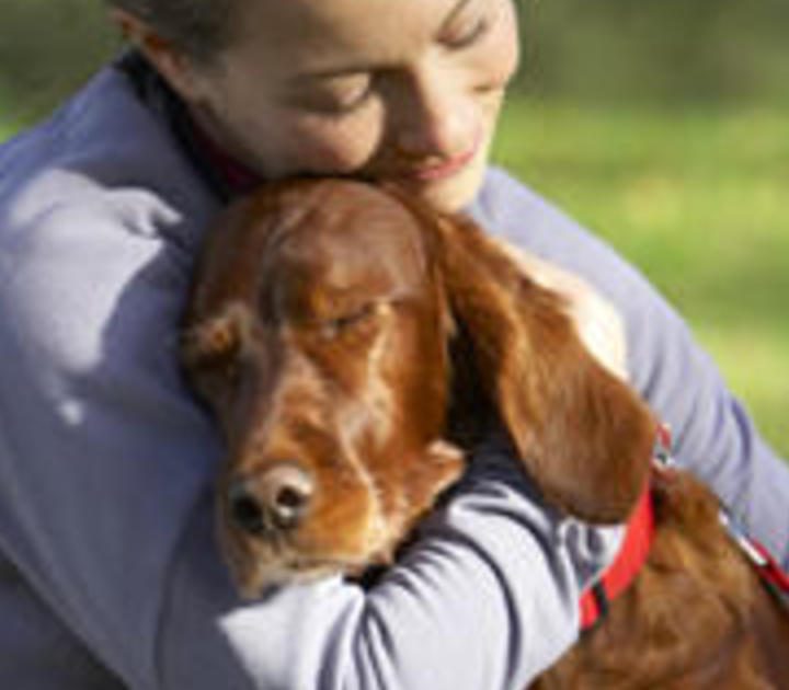 Raw pet food companies are in FDA’s doghouse over salmonella fears – CBS News