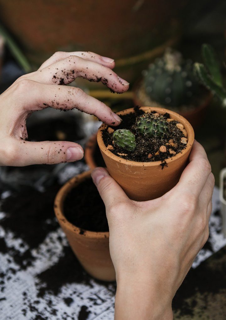 How a Plant-Based Diet Manages Rheumatoid Arthritis Symptoms – One Green Planet