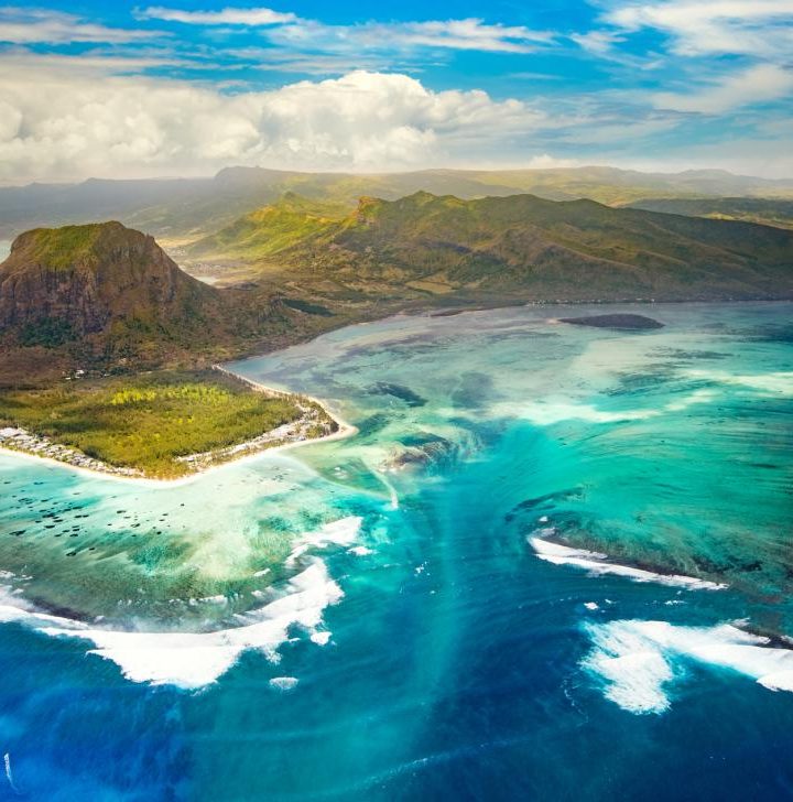 How plants from Mauritius could help fight cancer – Medical News Today