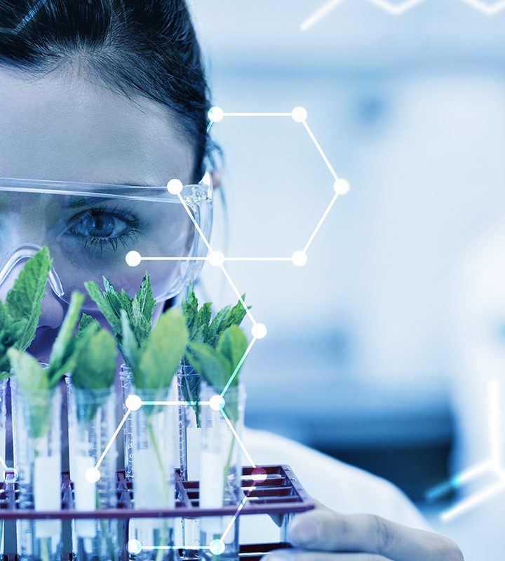 Molecular diagnostic tools to authenticate botanical ingredients – Natural Products INSIDER