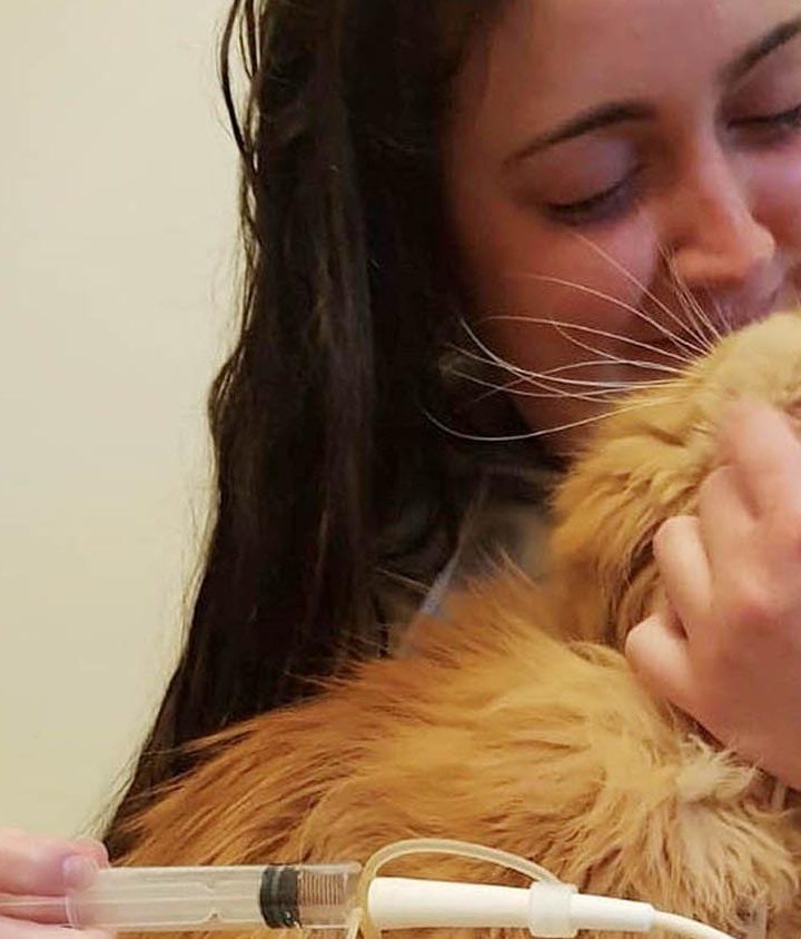 Posh ‘natural’ pet food recalled as cats and their owners develop bovine tuberculosis – The Times