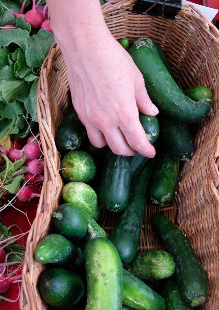 STERRETT: Food is our medicine – Wicked Local