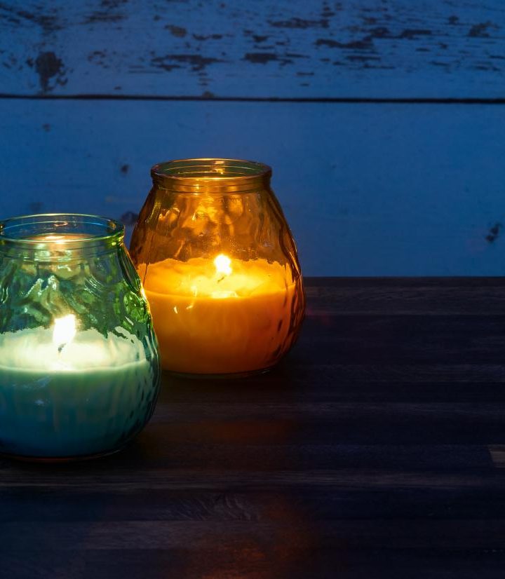 The 10 best natural mosquito repellents – Medical News Today