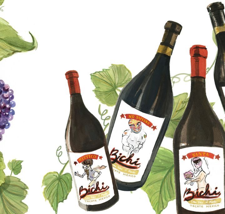 The Mission grape is cool in L.A. again, thanks to the natural wine movement – Los Angeles Times