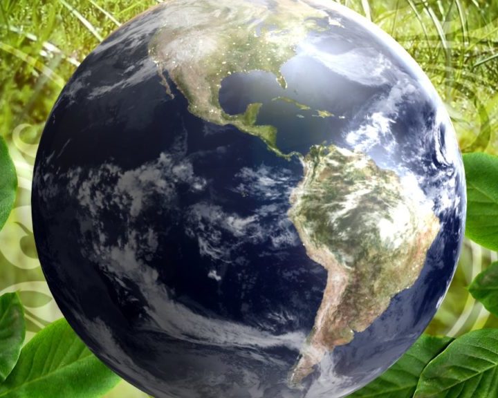 UN Report: Humans Accelerating Extinction Of Species – LEX18 Lexington KY News