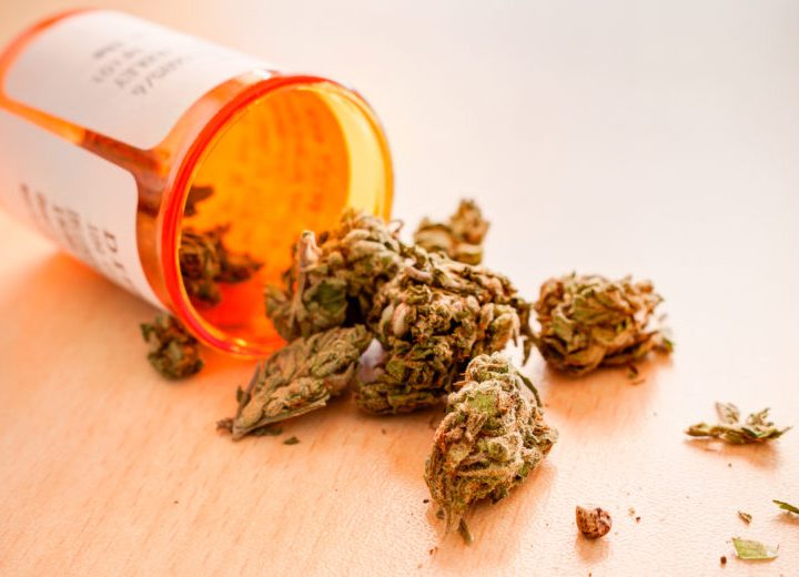 WSU to partner with the Puyallup Tribe on medicinal cannabis for opioid use and pain – WSU News