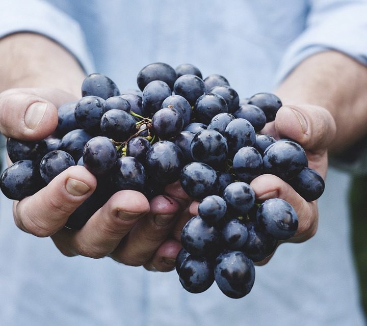 Affluent Food Shoppers More Likely to Purchase Natural And Organic Products – VendingMarketWatch