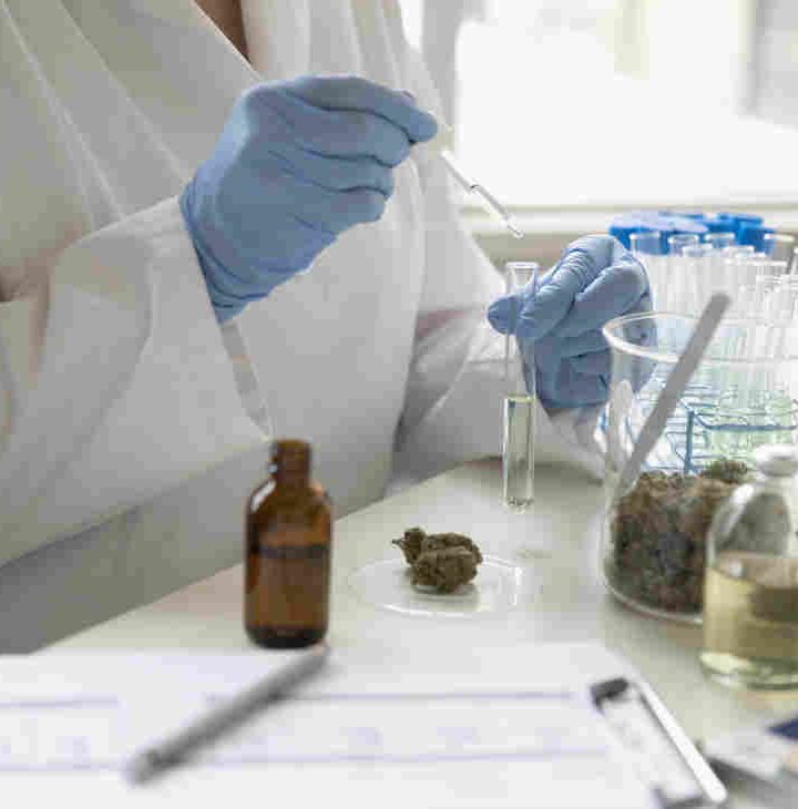 As CBD Oils Become More Popular, The FDA Considers Whether To Set New Rules – NPR