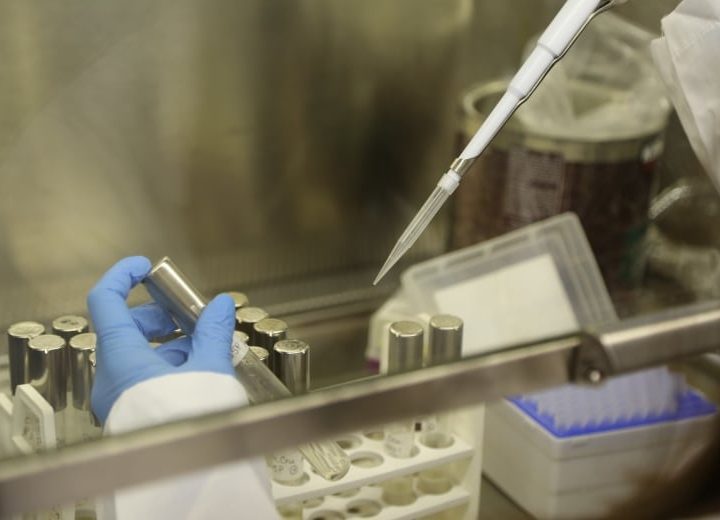 Fredericton company develops all natural preservative using mushrooms – CBC.ca