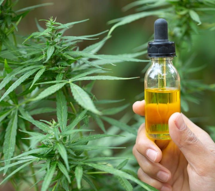 Marijuana Study Finds CBD Can Cause Liver Damage – Forbes