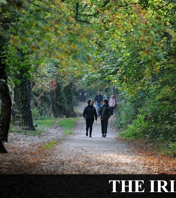 Nature calls: why we should spend two hours a week outdoors – The Irish Times