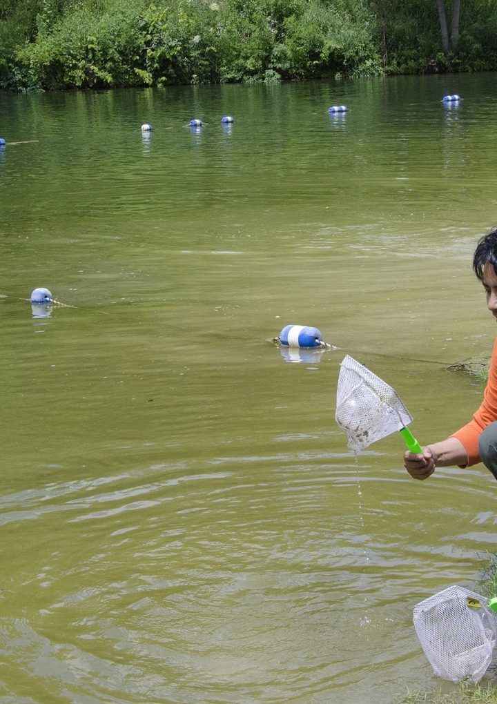 Nature deficit: Kids have much to gain by going outside – MPR News