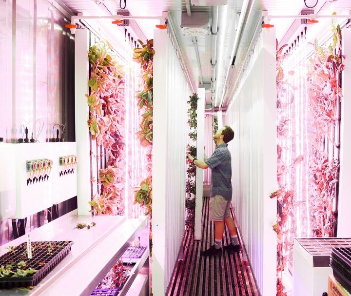 No more free bags, a cannabis vendor and other news as Salt Lake City’s Downtown Farmers Market opens Saturday – Salt Lake Tribune