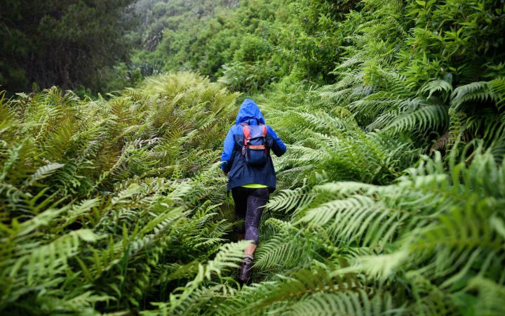 That Study About the Health Benefits of Nature Comes With an Important Caveat – Gizmodo