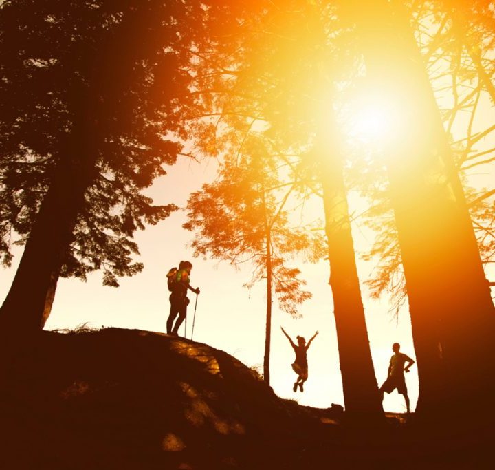 Two Hours in Nature Each Week Could Be All You Need to See Health Benefits – D-brief – Discover Magazine