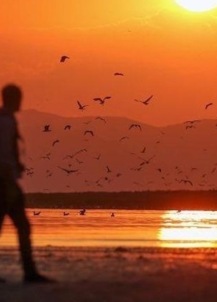 Two hours of nature per week is critical to your wellbeing, Exeter Medical School researchers say – Big Think