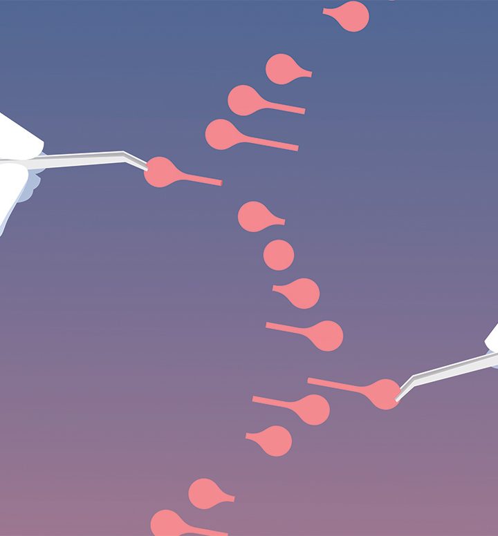 Using human genome, scientists build CRISPR for RNA to open pathways for medicine – UChicago News