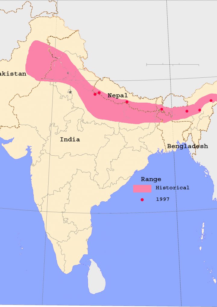 WHO’s recognition of Chinese medicines threatens Indian wildlife | Article – Asia Times
