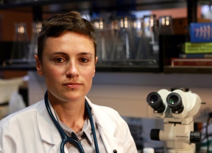 FDA names 16 dog-food brands with potential link to canine heart disease – CBC News