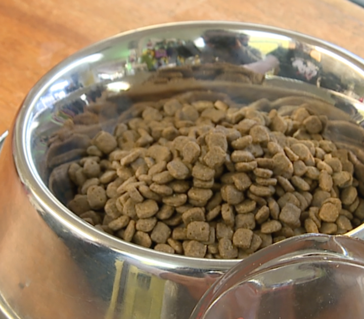 FDA study links certain dog foods to possible canine heart disease – NewsChannel5.com