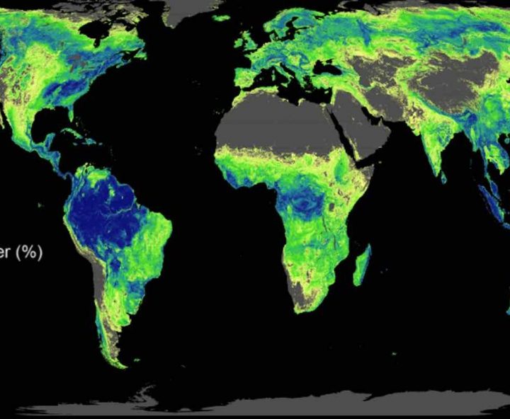 For First Time Ever, Scientists Identify How Many Trees to Plant and Where to Plant Them to Stop Climate Crisis – Good News Network