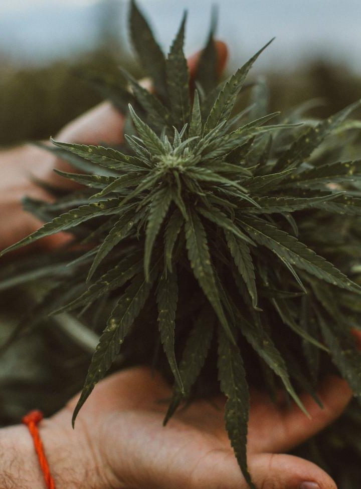 Gabe Kennedy, Co-Founder Of Plant People Answers Five Questions – Forbes