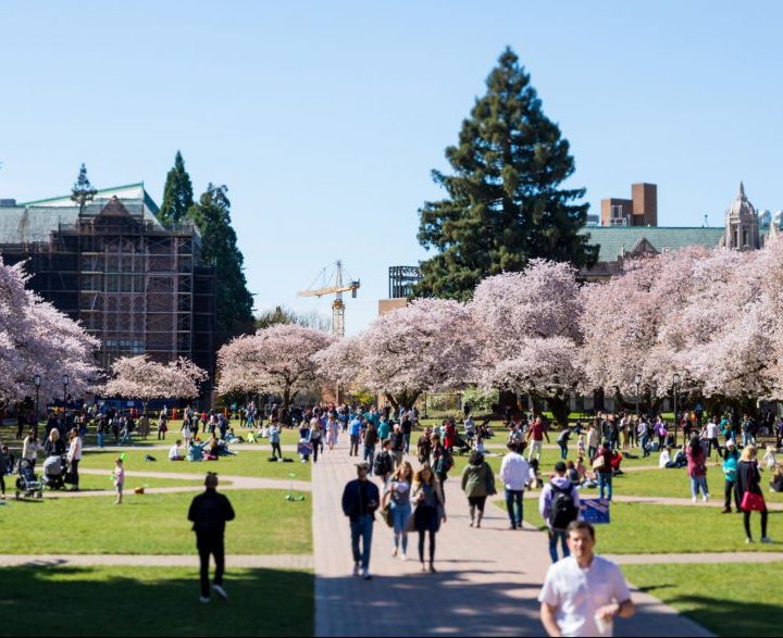 How to consider nature’s impact on mental health in city plans – UW Today