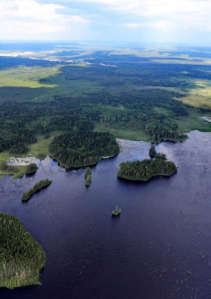 How to erase 100 years of carbon emissions? Plant trees—lots of them. – National Geographic