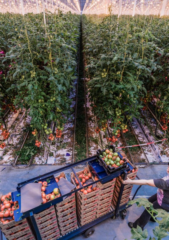 How to feed a booming population without destroying the planet – National Geographic