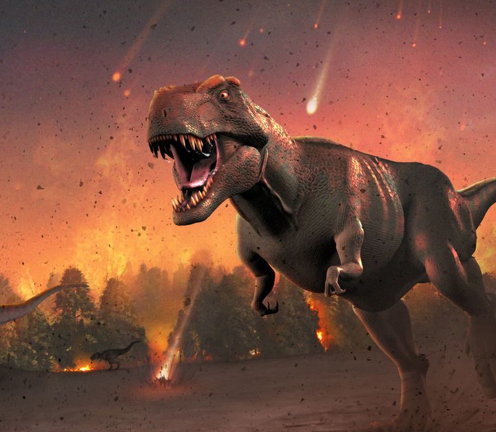 Human extinction: 99 percent of species have gone extinct. What are our odds? – Vox.com