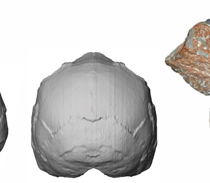 Nature study: scientists claim to find the oldest human remains outside of Africa – Vox.com