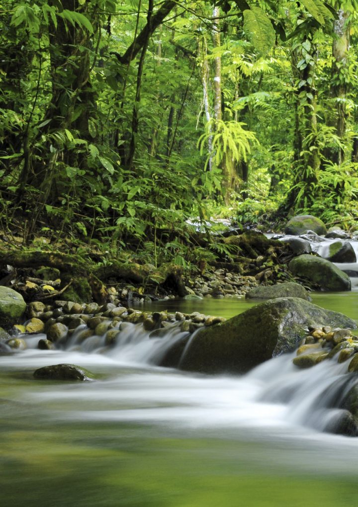 Policy Center for Environment and Peace – Conservation International